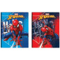 CARTELLINA ELAST. DS01 SPIDER-MAN EAN 8055714230214 INGROSSO CARTELLINE