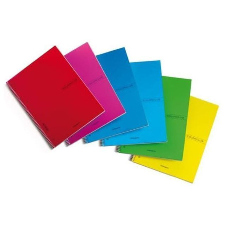 INGROSSO CARTOLERIA QUADERNO MAXI COLORCLUB PPL A4 FOR/SP 4M 8007758237926 INGROSSO QUADERNI ALBUM BRISTOL