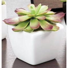 INGROSSO CASALINGHI PIANTA GR. 5x5xH15 8021785216129 INGROSSO ARTICOLI PER CASA FIORI FINTI D'ARREDO