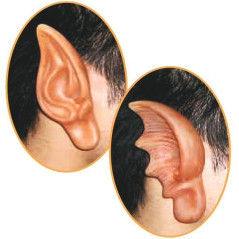 INGROSSO ORECCHIE ELFO 2 MOD ASS BUSTA 8004761062699 INGROSSO ARTICOLI CARNEVALE SET E ACCESSORI TRAVESTIMENTI