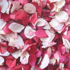 INGROSSO PETALI DI ROSA IN TESSUTO COL.CHAMPAGNE 8712026311573 INGROSSO ARTICOLI PER FESTE ACCESSORI PARTY