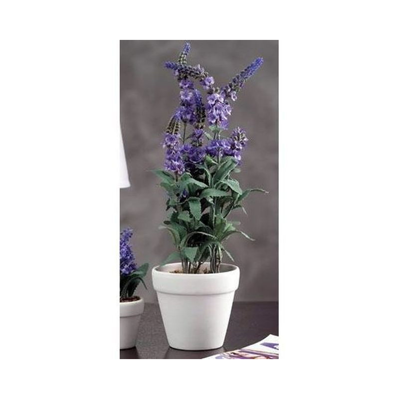VASO C/LAVANDA D.11XH40CM EAN 8021785216181 INGROSSO FIORI FINTI D'ARREDO VASO C/LAVANDA D.11XH40CM EAN 8021785216181 INGROSSO FIORI FINTI D'ARREDO
