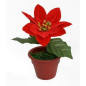 PIANTINA STELLA DI NATALE 12CM EAN 8033113560316 INGROSSO OGGETTISTICA NATALIZIA