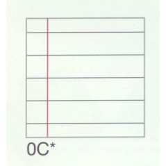 INGROSSO CARTOLERIA PROTOCOLLO GR.80 C FF.200 8005235080614 INGROSSO QUADERNI ALBUM BRISTOL PROTOCOLLI