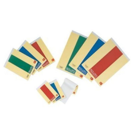 INGROSSO CARTOLERIA BLOCCHI NOTES 20X30 RIGHE C.10 8005235068940 INGROSSO QUADERNI ALBUM BRISTOL BLOCK NOTES