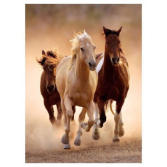 INGROSSO PUZZLE PZ.1000 RUNNING HORSES 8005125391684 INGROSSO PUZZLE CLASSICI