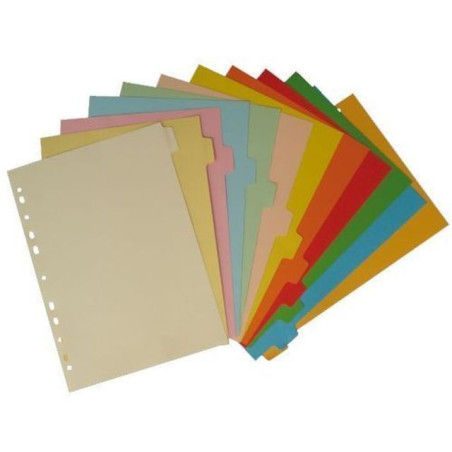 INGROSSO CARTOLERIA DIVISORI PLASTIFIC 12 COLORI A4 8033593005451 INGROSSO RACCOGLITORI RICAMBI BUSTE TRASPARENTI