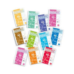 INGROSSO CARTOLERIA PIGNA RICAMBI RINFORZATI A5 Q 8005235117464 INGROSSO RACCOGLITORI RICAMBI BUSTE TRASPARENTI