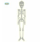 SCHLELETRO FLUORESCENTE 75 CM EAN 8434077198667 INGROSSO APPENDINI HALLOWEEN SCHLELETRO FLUORESCENTE 75 CM EAN 8434077198667 INGROSSO APPENDINI HALLOWEEN