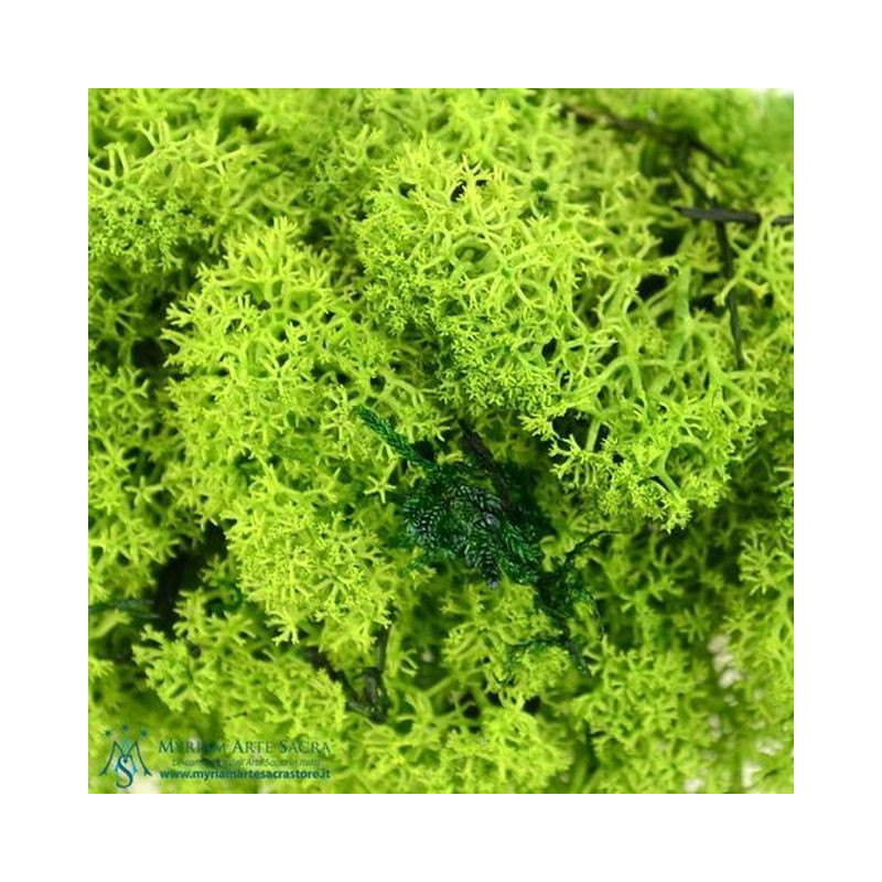 MUSCHIO NORDICO VERDE ART.533 EAN 8024949005331 INGROSSO ACCESSORI PER IL PRESEPE