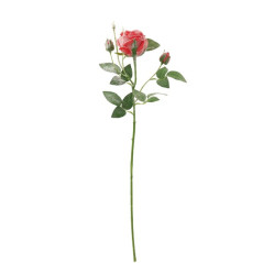 INGROSSO ARTICOLI NATALIZI ROSA NAT INNEVATA 2BOCC ROSSA CM71 8021785858787 INGROSSO DECORAZIONI NATALIZIE