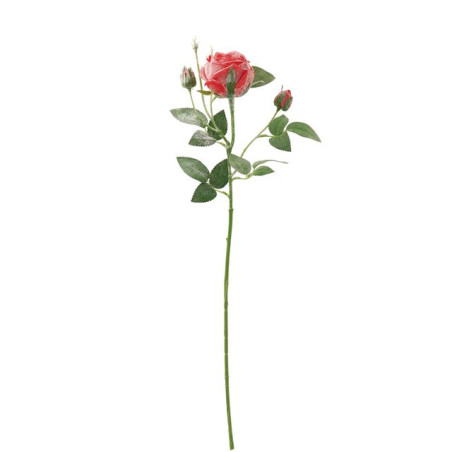 INGROSSO ARTICOLI NATALIZI ROSA NAT INNEVATA 2BOCC ROSSA CM71 8021785858787 INGROSSO DECORAZIONI NATALIZIE