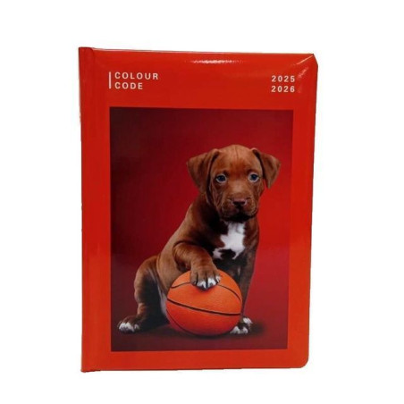 INGROSSO CARTOLERIA DIARIO AG.10M DATATO COL. CODE ANIMAL SN 8055714209654 AGENDE DIARI SCHEDE DIARI SCUOLA