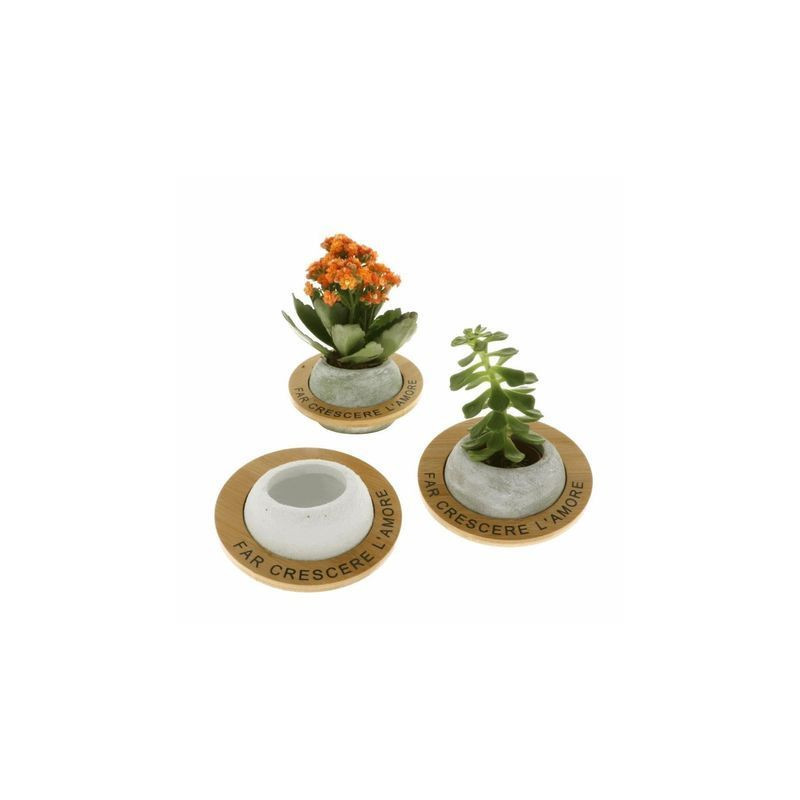 VENERE P/PIANTA DM.15,5 S/3 EAN 80008446 INGROSSO BOMBONIERE VENERE P/PIANTA DM.15,5 S/3 EAN 80008446 INGROSSO BOMBONIERE