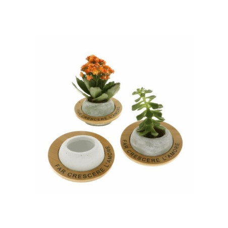 VENERE P/PIANTA DM.15,5 S/3 EAN 80008446 INGROSSO BOMBONIERE