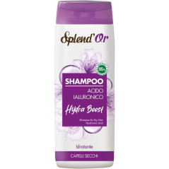 INGROSSO PROFUMERIA SPLENDOR SHAMPOO 300ML ACIDO IALURONICO 8003510037179 ARTICOLI IGIENE E SALUTE SHAMPOO
