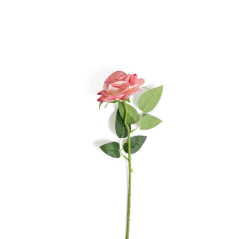 CASALINGHI ROSA ROSA 9