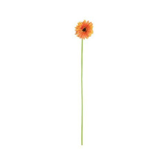 CASALINGHI GERBERA ARANCIO POLIEST. PLAST. H.60 CM 8056001136868 ARTICOLI PER LA CASA FIORI FINTI D'ARREDO