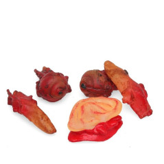 RESTI UMANI DITA OCCHI ORECCHIE 5PZ EAN 8422259792338 INGROSSO DECORAZIONI HALLOWEEN