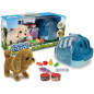 PLAYSET CAGNOLINO CON TRASPORTINO EAN 8017967805243 INGROSSO ANIMALI GIOCATTOLO PLAYSET CAGNOLINO CON TRASPORTINO EAN 8017967805243 INGROSSO ANIMALI GIOCATTOLO