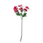 GAZANIA FUCSIA 6 FIORI H.59CM EAN 8056001133775 INGROSSO FIORI FINTI D'ARREDO GAZANIA FUCSIA 6 FIORI H.59CM EAN 8056001133775 INGROSSO FIORI FINTI D'ARREDO