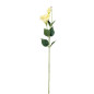 LISIANTHUS GIALLO H.60CM EAN 8056001133676 INGROSSO FIORI FINTI D'ARREDO LISIANTHUS GIALLO H.60CM EAN 8056001133676 INGROSSO FIORI FINTI D'ARREDO