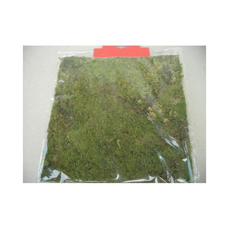 TAPPETO MUSCHIO 25x25 ART.656 EAN 0507693200000 INGROSSO ACCESSORI PER IL PRESEPE