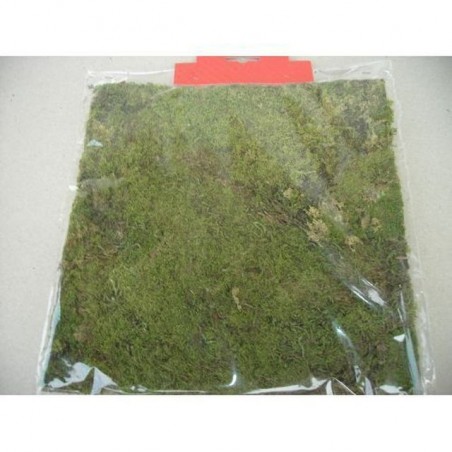 INGROSSO TAPPETO MUSCHIO 25x25 A