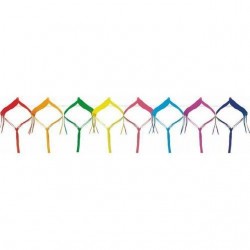 INGROSSO FESTONE MULTICOLOR MT.4