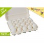 BOX 20 UOVA EAN 8055329183523 INGROSSO DECORAZIONI PER PASQUA