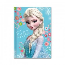 INGROSSO DIARIO FROZEN