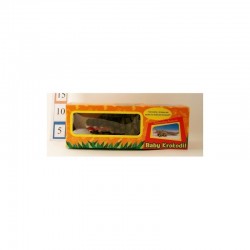 INGROSSO BABY COCCODRILLO B/O
