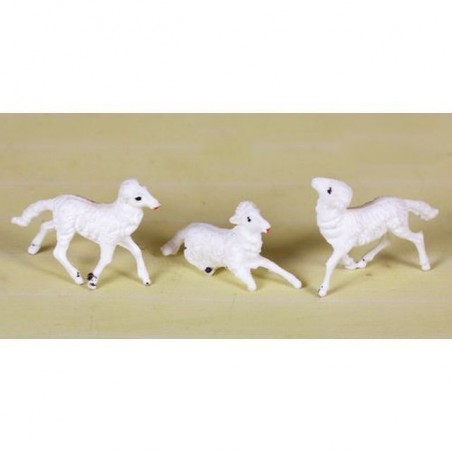 INGROSSO PECORE MEDIE