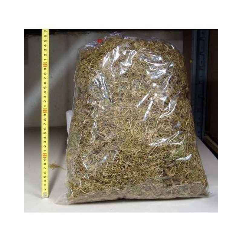 MUSCHIO 10 DOSI ART.112 EAN 8024949001128 INGROSSO ACCESSORI PER IL PRESEPE