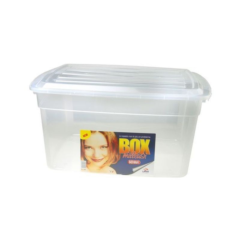 BOX LT.50 CM.50X40XH37 EAN 8004459014665 INGROSSO SALVASPAZIO
