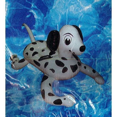 INGROSSO DALMATA CAVALCABILE 100