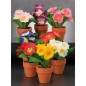 VASO C/PRIMULE DIAM.15XH17CM EAN 8021785929647 INGROSSO FIORI FINTI D'ARREDO