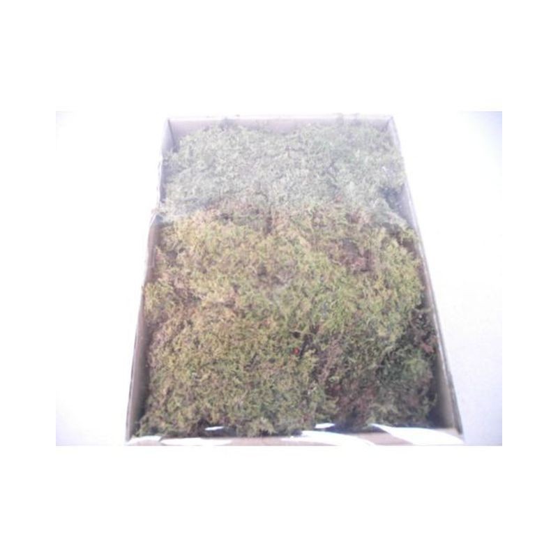 SCATOLA MUSCHIO SOTTILE EAN 8024949018263 INGROSSO ACCESSORI PER IL PRESEPE