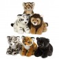 CUCCIOLATA FELINI 27CM EAN  INGROSSO PELUCHE MORBIDOSI