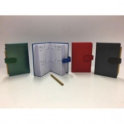 INGROSSO AGENDA BIGIORN. 6