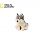LUPO SEDUTO PICCOLO ROMEO EAN 8004332422419 INGROSSO PELUCHE MORBIDOSI