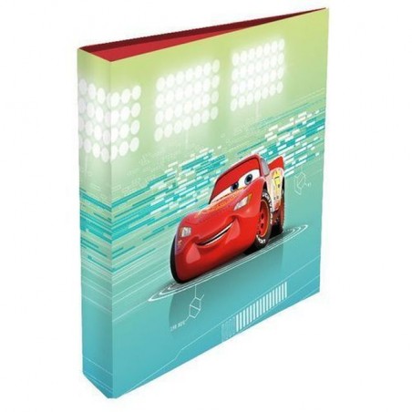 INGROSSO RACCOGLITORE A4 CON ANE