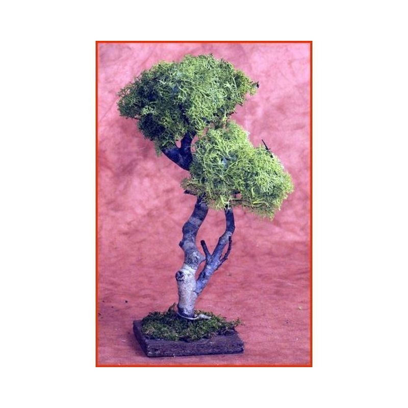 ALBERO LEGNO CON LICHENE h.cm.27 EAN 8018623865694 INGROSSO ACCESSORI PER IL PRESEPE