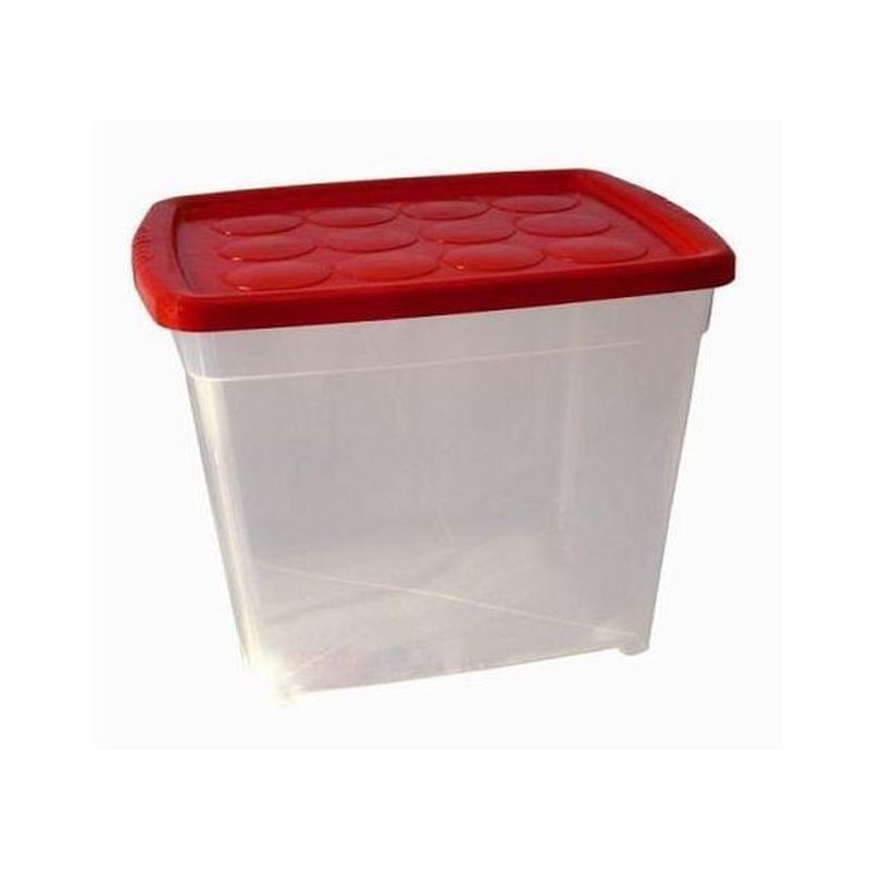 BOX 4 STAGIONI LT.50 BASSO CM.56X39XH26 EAN 8004459015501 INGROSSO SALVASPAZIO