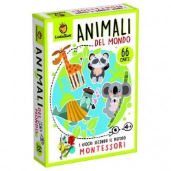 INGROSSO CARTE MONTESSORI - GLI