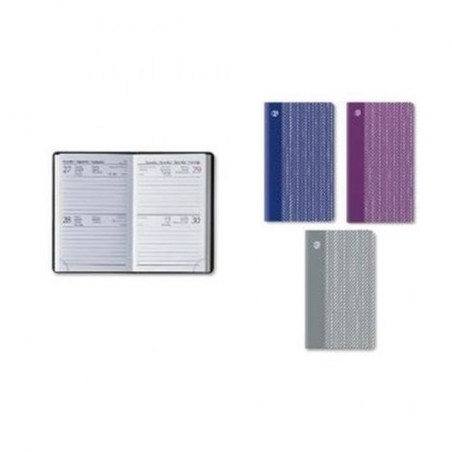 INGROSSO AGENDA BIGIOR. 6.5X10 C