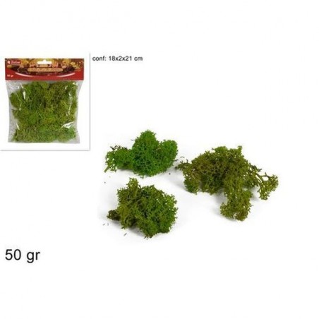 INGROSSO LICHENE IN BUSTA 50 GR