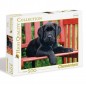 PUZZLE PZ.500 THE BLACK DOG HQC EAN 8005125303465 INGROSSO PUZZLE CLASSICI