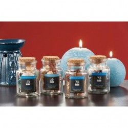 INGROSSO BARATTOLO CON CONCHIGLI