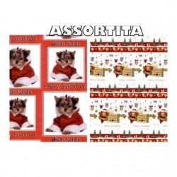 INGROSSO CARTA REGALO MARPIMAR N